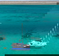 Whale Shark Swim by Catamaran in Shoulder Season - Accommodation VIC