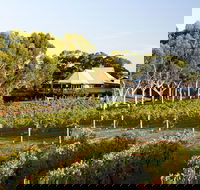 Margaret River and Geographe Bay Region Day Trip from Perth - Accommodation VIC