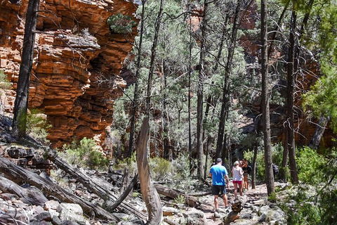 9-Day Perth To Adelaide Adventure Tour - Accommodation VIC 15