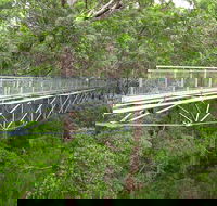 Albany Southwest Wilderness Day Tour - Fly From Perth - Accommodation VIC
