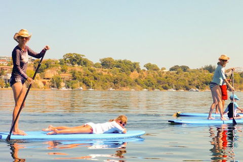 Stand-Up Paddleboarding Lesson Plus Guided Paddle On Perth's Swan River - Accommodation VIC 0