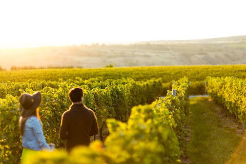 Margaret River Private Tour - Accommodation VIC 2