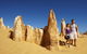 4-Day Coastal Loop Via Monkey Mia Wild Dolphins Kalbarri Pinnacles Perth Return - thumb 4