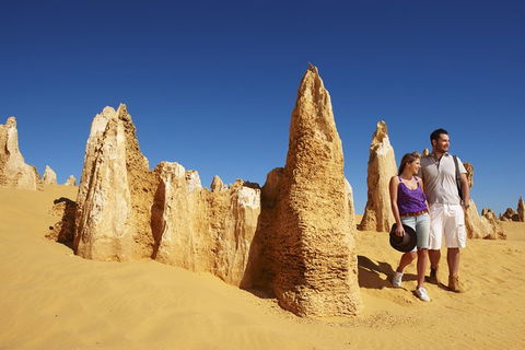 4-Day Coastal Loop Via Monkey Mia Wild Dolphins Kalbarri Pinnacles Perth Return - Accommodation VIC 4