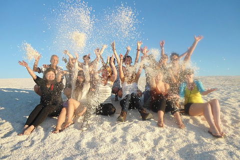 4-Day Coastal Loop Via Monkey Mia Wild Dolphins Kalbarri Pinnacles Perth Return - Accommodation VIC 9