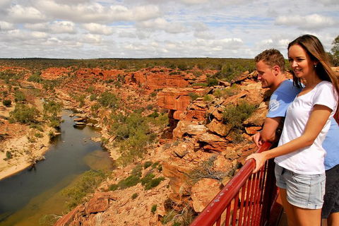 4-Day Coastal Loop Via Monkey Mia Wild Dolphins Kalbarri Pinnacles Perth Return - Accommodation VIC 11