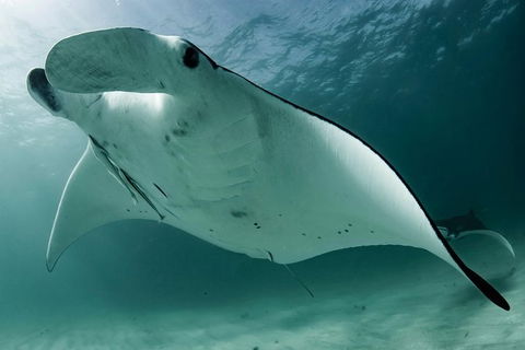 6-Day Coral Coaster From Perth To Exmouth One-Way Via Monkey Mia Ningaloo Reef - Accommodation VIC 1
