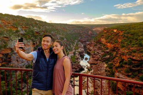 6-Day Coral Coaster From Perth To Exmouth One-Way Via Monkey Mia Ningaloo Reef - Accommodation VIC 8