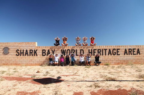 6-Day Coral Coaster From Perth To Exmouth One-Way Via Monkey Mia Ningaloo Reef - Accommodation VIC 13