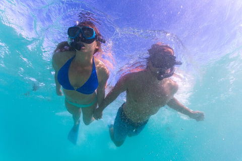 6-Day Coral Coaster From Perth To Exmouth One-Way Via Monkey Mia Ningaloo Reef - Accommodation VIC 2