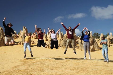 6-Day Coral Coaster From Perth To Exmouth One-Way Via Monkey Mia Ningaloo Reef - Accommodation VIC 4