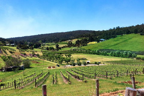 Cider, Wine & Cheese In The Perth Hills - Half-Day Premium Small Group Tour - Accommodation VIC 1