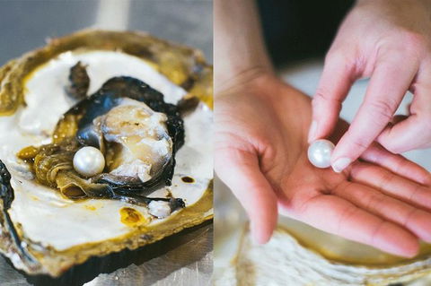 Pearl Master Class â€“ Perth - Accommodation VIC 1