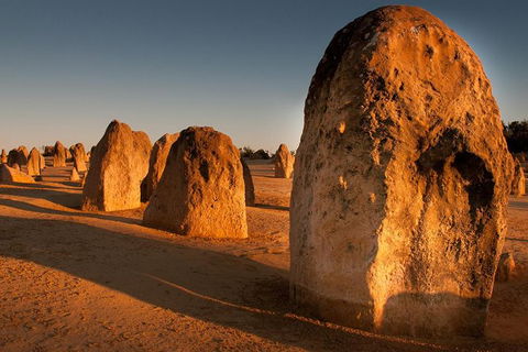 Pinnacles & Rottnest Island Scenic Air & Ground Tour - Accommodation VIC 0