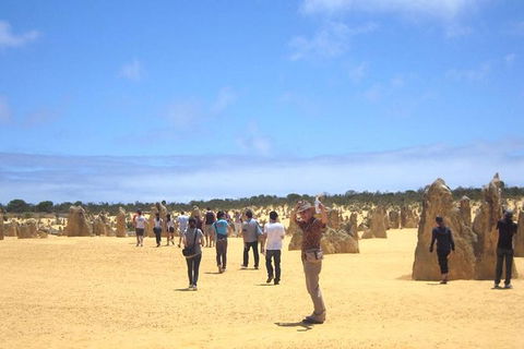 Pinnacles & Rottnest Island Scenic Air & Ground Tour - Accommodation VIC 10