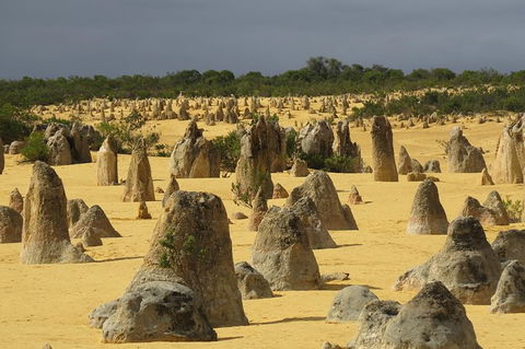 Pinnacles & Rottnest Island Scenic Air & Ground Tour - Accommodation VIC 6