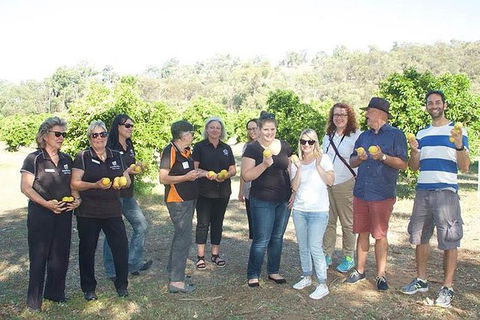 Chittering Valley Back To Nature Tour - Accommodation VIC 0