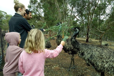Full-Day Nature Tour From Perth - Accommodation VIC 0