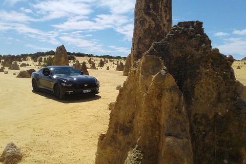Pinnacles Mustang V8 Full Day Including Swan Valley, Caversham Wildlife Park - Accommodation VIC 0
