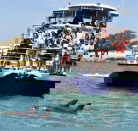 Mandurah Dolphin and Scenic Marine Cruise - Accommodation VIC