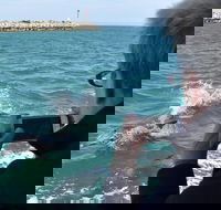 Mandurah Dolphin Island Adventure - Accommodation VIC