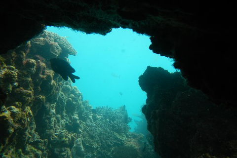 Half-Day Abrolhos Islands Shipwreck Air And Land Tour From Geraldton - Accommodation VIC 0