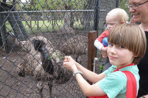 Swan Valley Half-Day Food Tour And Wine Trail From Perth - Accommodation VIC 6