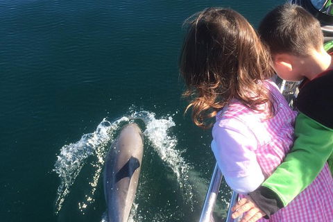 Sunset Sail Cruise Out Of Fremantle - Accommodation VIC 1
