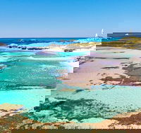 Rottnest Island Bayseeker Day Trip from Fremantle - Accommodation VIC