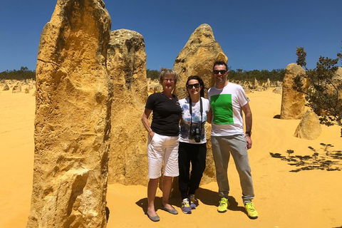 Private Pinnacles Day Tour - Accommodation VIC 0