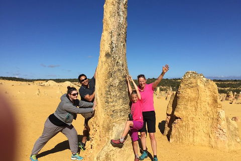Private Pinnacles Day Tour - Accommodation VIC 1