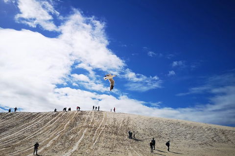 Private Tour To Pinnacles, Yanchep, Lobster Shack And Lancelin - Accommodation VIC 1