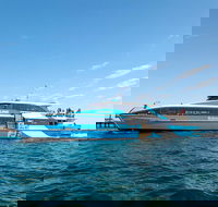 Rottnest Island Bike Snorkel  Ferry Package from Fremantle - Accommodation VIC