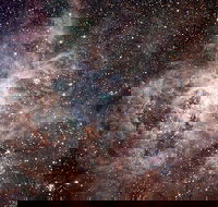 Overnight Astronomy Experience Ningaloo - Yardie Homestead - Accommodation VIC