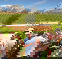 Yarra Valley Wine and Winery Tour from Melbourne - Accommodation VIC