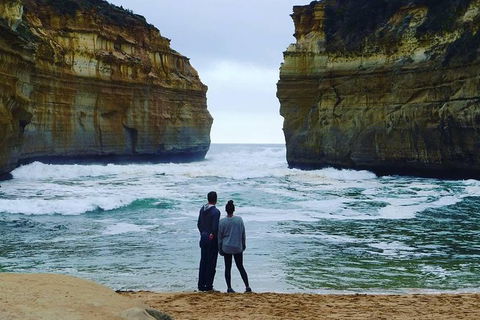 Great Ocean Road Small-Group Ecotour From Melbourne - Accommodation VIC 1