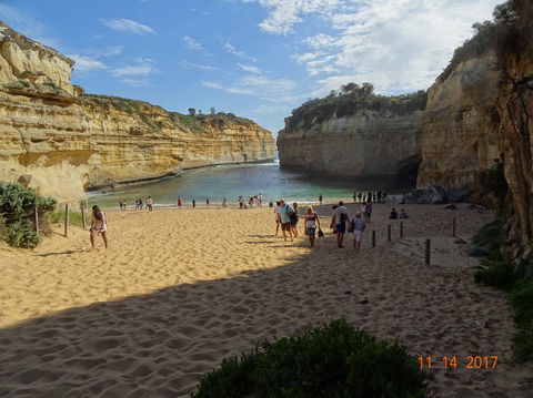 Great Ocean Road Small-Group Ecotour From Melbourne - Accommodation VIC 23