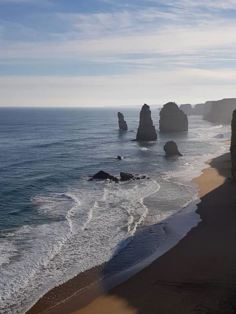 Great Ocean Road Small-Group Ecotour From Melbourne - Accommodation VIC 8