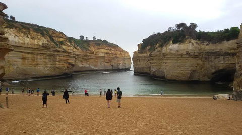 Great Ocean Road Small-Group Ecotour From Melbourne - Accommodation VIC 20