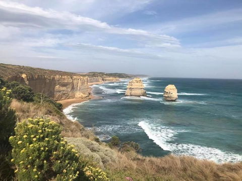 Great Ocean Road Small-Group Ecotour From Melbourne - Accommodation VIC 16