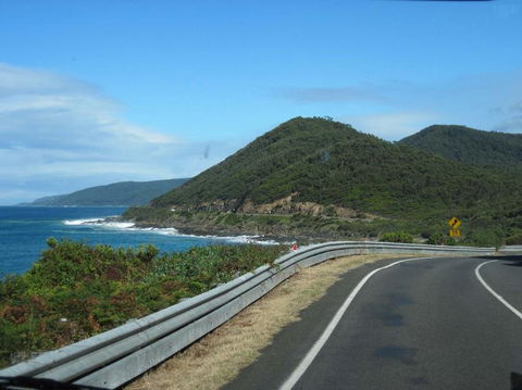 Great Ocean Road Small-Group Ecotour From Melbourne - Accommodation VIC 3