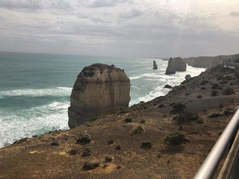 Great Ocean Road Small-Group Ecotour From Melbourne - Accommodation VIC 14