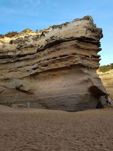 Great Ocean Road Small-Group Ecotour From Melbourne - Accommodation VIC 10