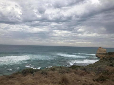 Great Ocean Road Small-Group Ecotour From Melbourne - Accommodation VIC 12