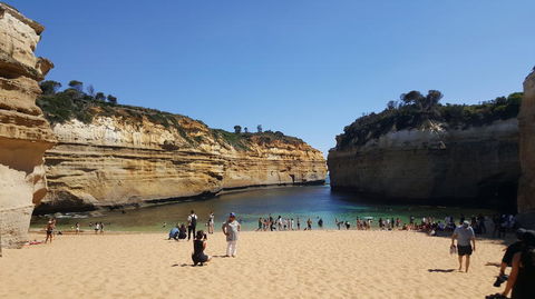 Great Ocean Road Small-Group Ecotour From Melbourne - Accommodation VIC 19