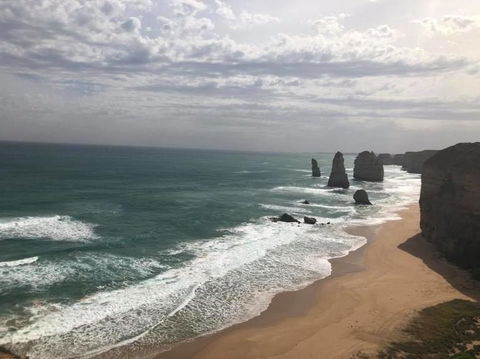 Great Ocean Road Small-Group Ecotour From Melbourne - Accommodation VIC 15