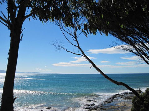 Great Ocean Road Small-Group Ecotour From Melbourne - Accommodation VIC 4