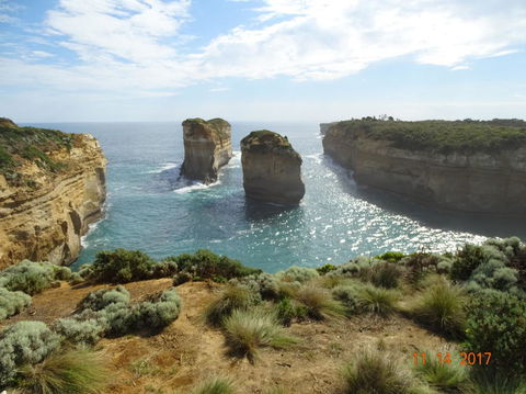 Great Ocean Road Small-Group Ecotour From Melbourne - Accommodation VIC 25