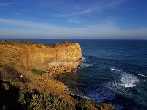Great Ocean Road Small-Group Ecotour From Melbourne - Accommodation VIC 9