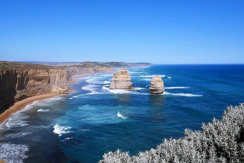 Great Ocean Road Small-Group Ecotour From Melbourne - Accommodation VIC 31